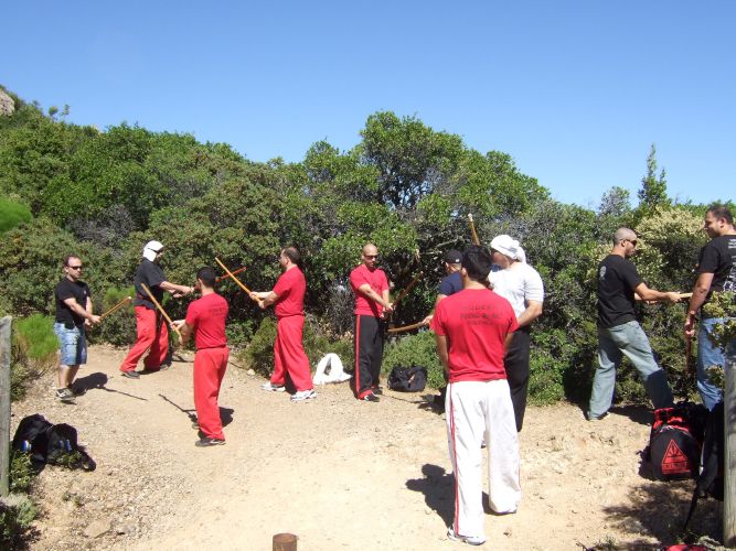 FMS Jang Gum Sul - Sword training